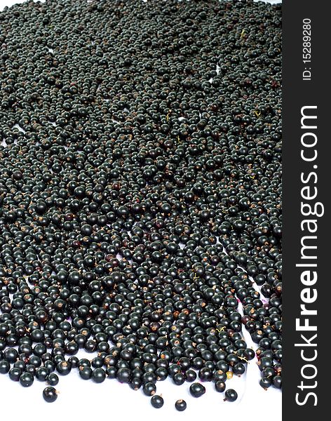 Background made of black currant