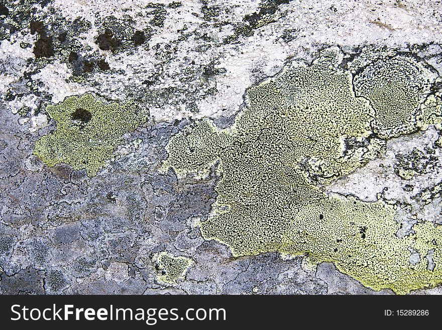 Texture of nature stone background