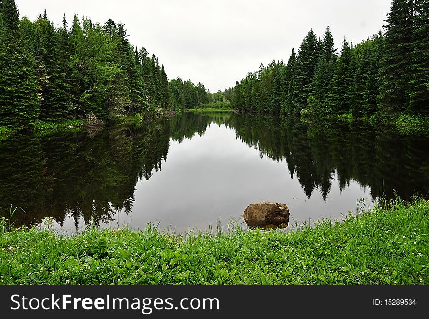 Forest Reflecting On Lake