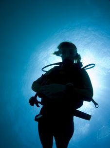 Silhouette Of A Diver Royalty Free Stock Photos Silhouette Of A Diver Royalty Free Stock Photos