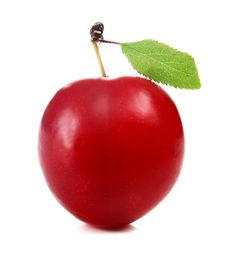 Cherry-plum Royalty Free Stock Photography Cherry-plum Royalty Free Stock Photography