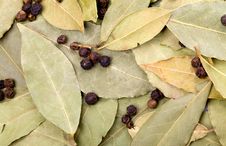 Bay Leaves And Black Peppercorns Stock Image Bay Leaves And Black Peppercorns Stock Image