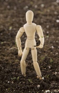 Mannequin Planting Seedling Standing In Soil Stock Image Mannequin Planting Seedling Standing In Soil Stock Image