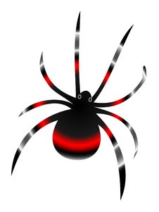 Black Widow Spider Stock Photo Black Widow Spider Stock Photo
