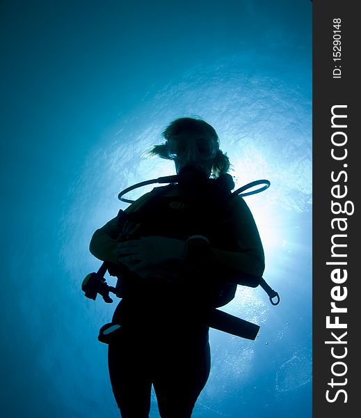 Silhouette of a female diver in the Caribbean Sea. Silhouette of a female diver in the Caribbean Sea