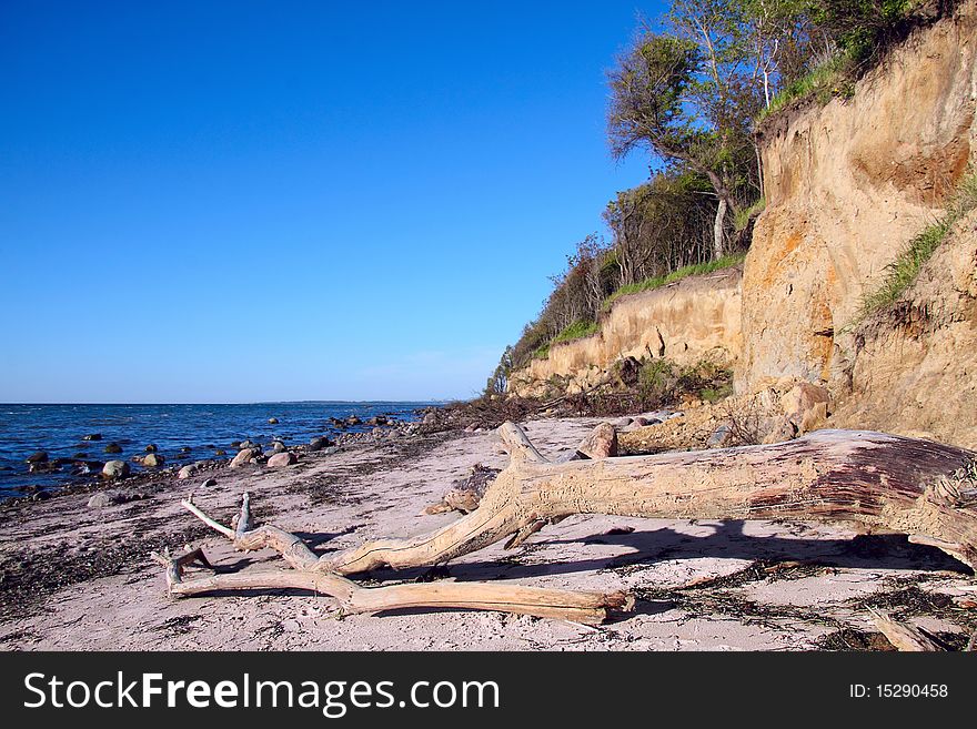 Natural steep coast beach with a dead tree in foreground. Natural steep coast beach with a dead tree in foreground