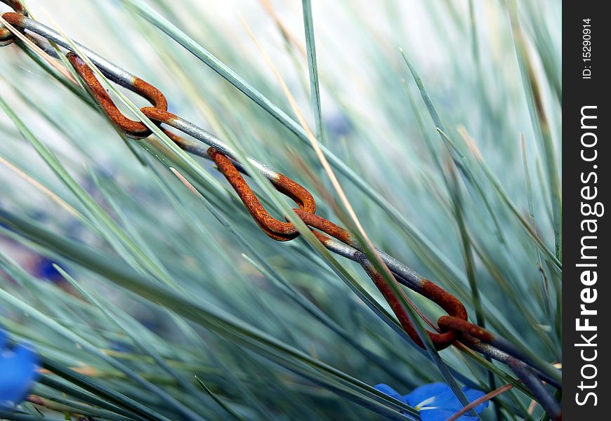 Rusty chain against blue/green grasses. Rusty chain against blue/green grasses