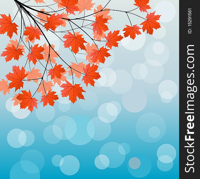 Autumn background with a maple branch. Vector illustration.