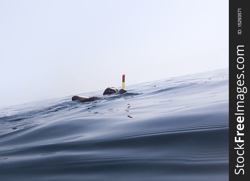 Boy swimming in the sea