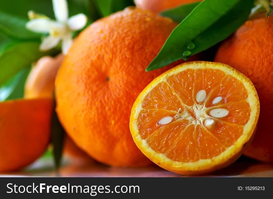 A Mature orange and flowers.