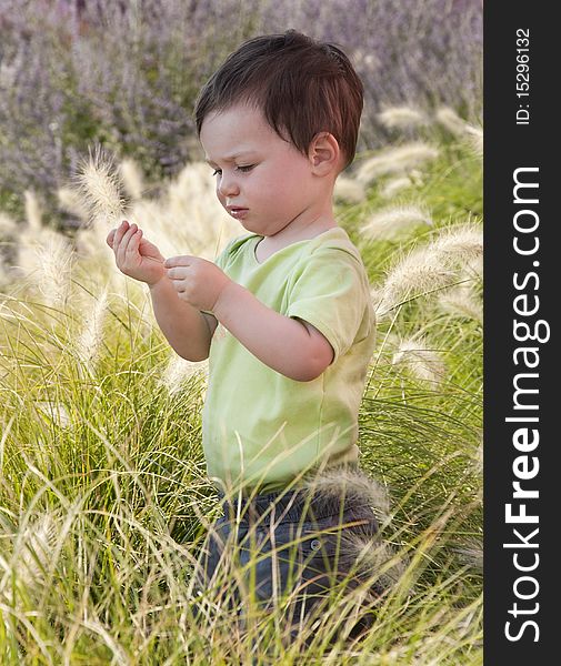 A small child standing in a long grass in a Mediterranean garden. A small child standing in a long grass in a Mediterranean garden.