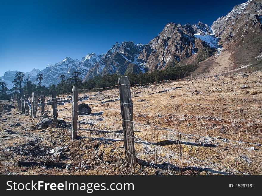 Rocky Mountain Fence Line