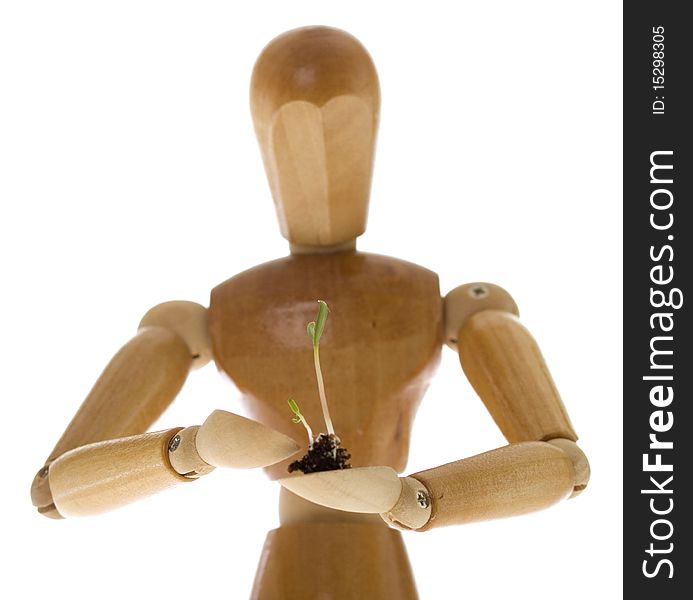 An Artist's wooden mannequin holding a tiny plant seedling, isolated on white.  Concept: environmentalism, go Green. An Artist's wooden mannequin holding a tiny plant seedling, isolated on white.  Concept: environmentalism, go Green