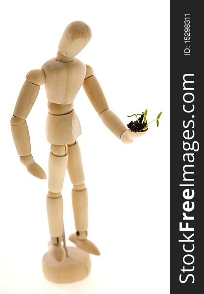 An Artist's wooden mannequin holding a tiny plant seedling, isolated on white. Concept: environmentalism, go Green. An Artist's wooden mannequin holding a tiny plant seedling, isolated on white. Concept: environmentalism, go Green