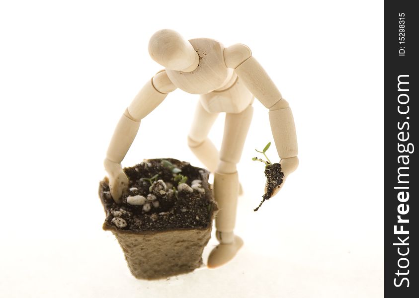 An Artist's wooden mannequin holding a tiny plant seedling in one hand, digging in a compost pot with the other, isolated on white.  Concept: environmentalism, go Green. An Artist's wooden mannequin holding a tiny plant seedling in one hand, digging in a compost pot with the other, isolated on white.  Concept: environmentalism, go Green