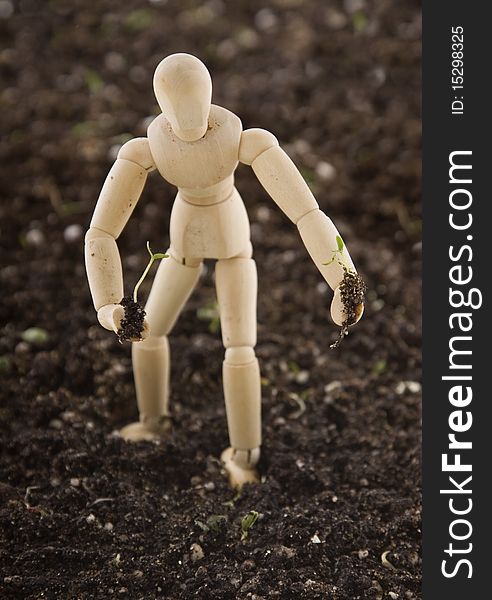 An Artist's wooden mannequin holding a tiny plant seedling, standing in potting soil, isolated on white. Concept: environmentalism, go Green. An Artist's wooden mannequin holding a tiny plant seedling, standing in potting soil, isolated on white. Concept: environmentalism, go Green