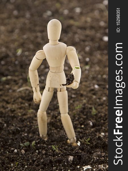 An Artist's wooden mannequin holding a tiny plant seedling, standing in potting soil, isolated on white. Concept: environmentalism, go Green. An Artist's wooden mannequin holding a tiny plant seedling, standing in potting soil, isolated on white. Concept: environmentalism, go Green