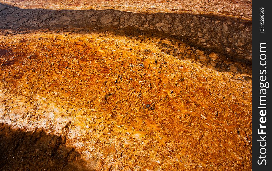 The microbial mat at Yellowstone's Midway Geyser Basin creates a colorful abstract. The microbial mat at Yellowstone's Midway Geyser Basin creates a colorful abstract.