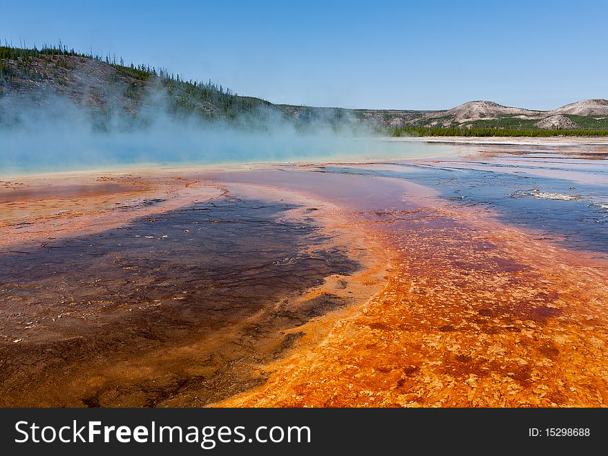 Rising steam creates a mysterious view of Grand Prismatic Spring amidst the colorful bacteria and algae of Midway Geyser Basin. Rising steam creates a mysterious view of Grand Prismatic Spring amidst the colorful bacteria and algae of Midway Geyser Basin.