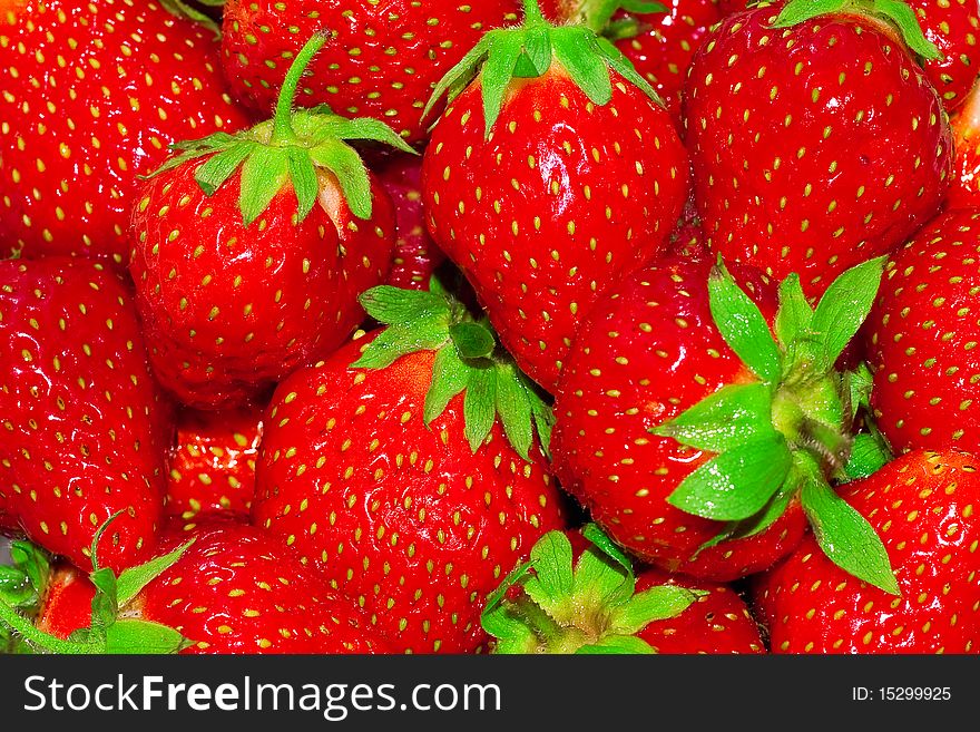Bright background of ripe strawberries. Bright background of ripe strawberries