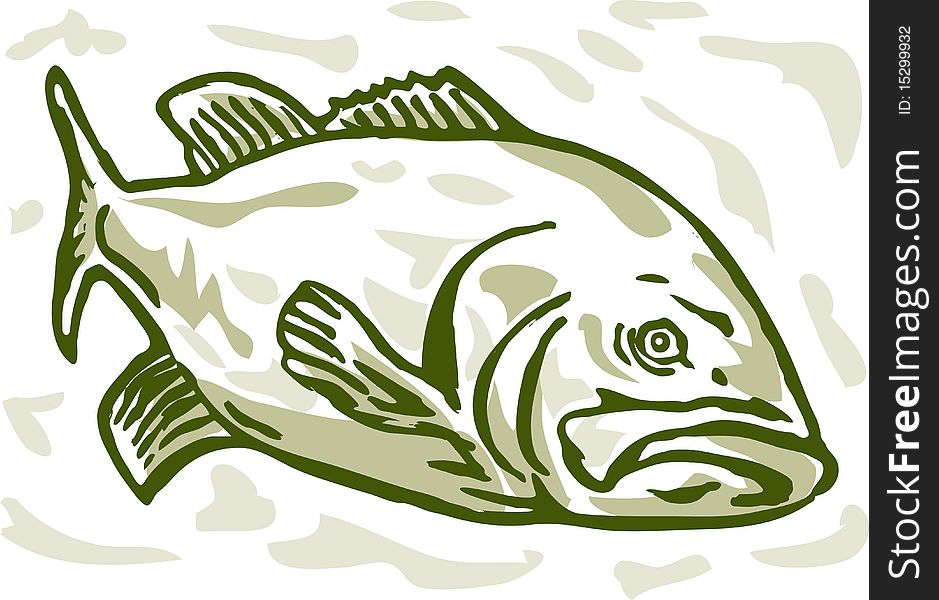 Illustration of a largemouth bass swimming. Illustration of a largemouth bass swimming
