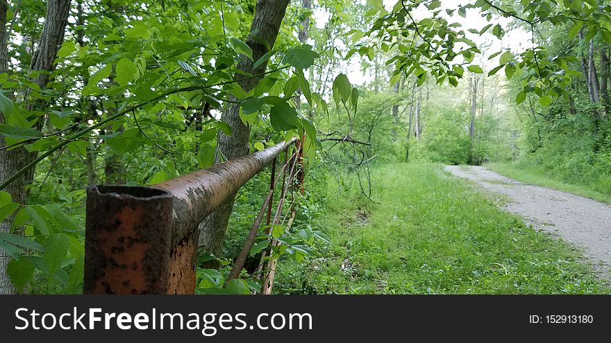 Oldtown Creek Preserve