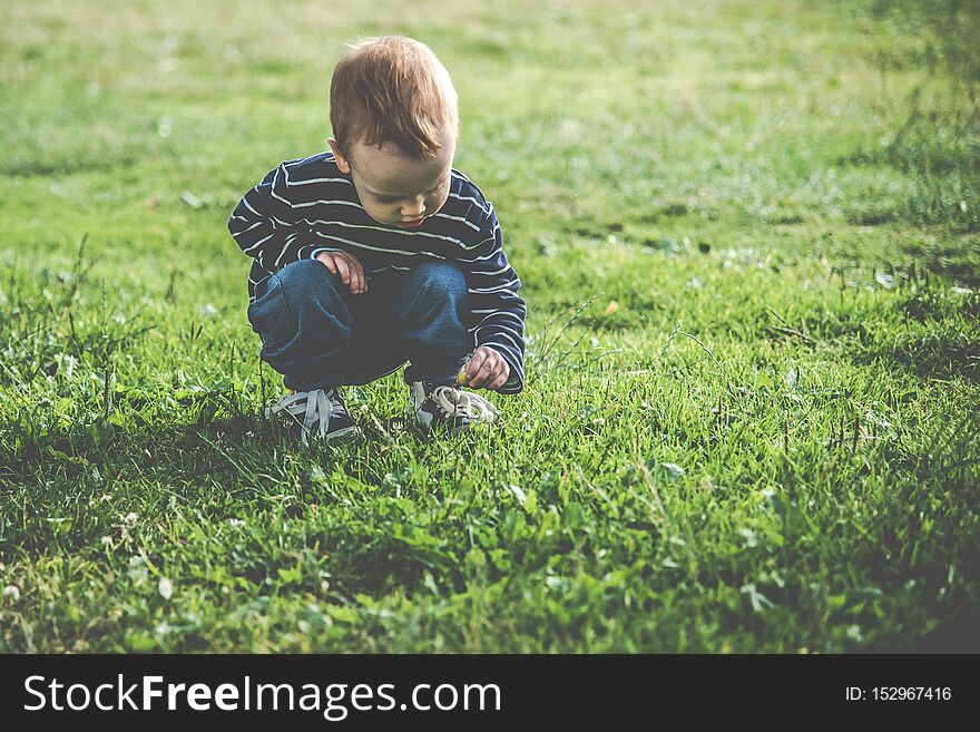 Child exploring nature. looking to insects or other details. free space left for text. Caucasian white child all alone