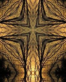 Kaleidoscope Cross:  Morning Tree2 Royalty Free Stock Image