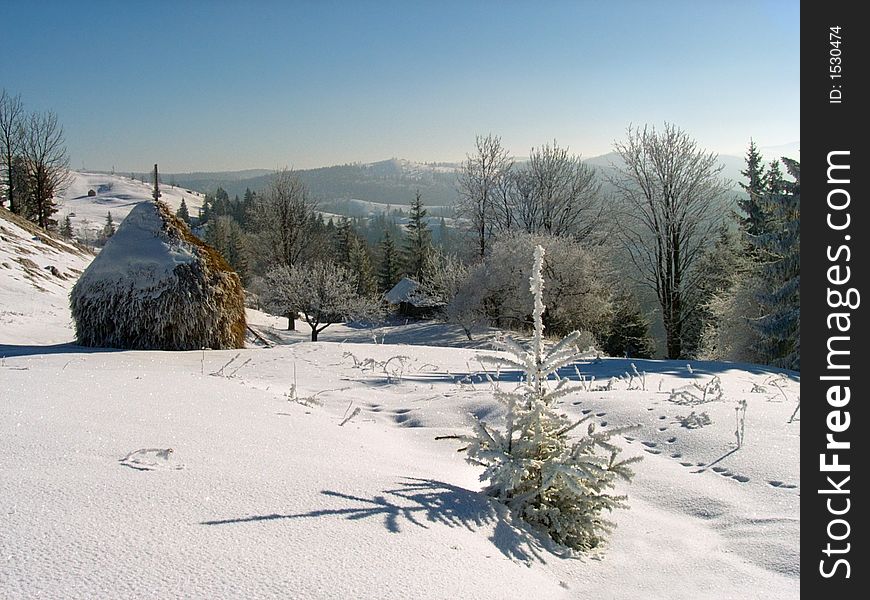 Winter calm landscape with small bright rime fir-tree on a forefront and small farmstead on the mountainside behind. Winter calm landscape with small bright rime fir-tree on a forefront and small farmstead on the mountainside behind