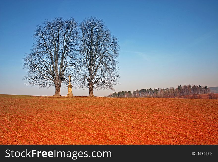 Two trees in a field. Two trees in a field