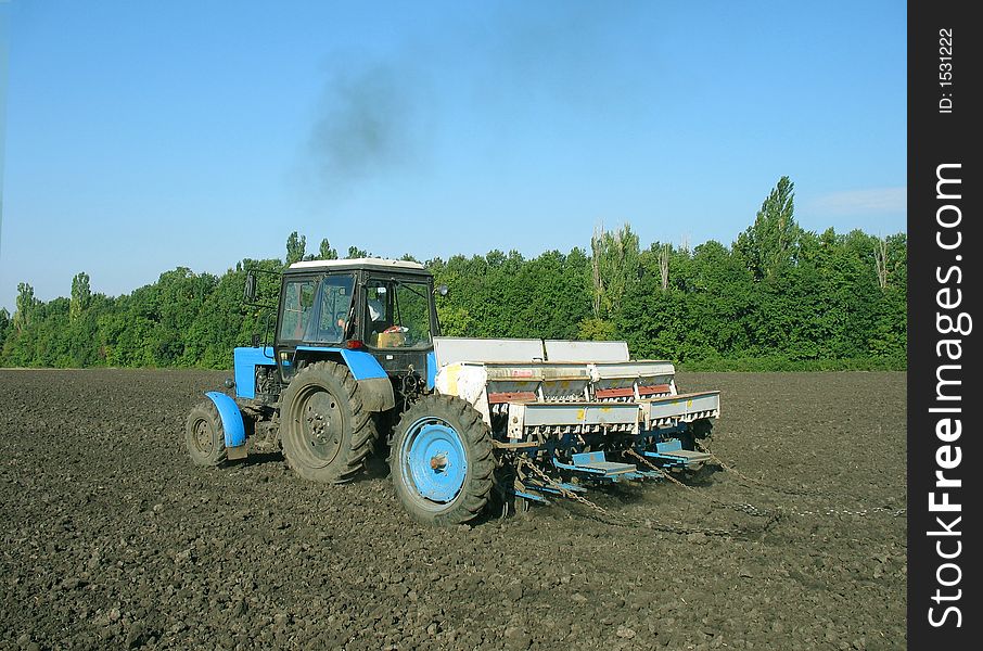The tractor processes the ground under crop. Fertilizes.  A forest belt.