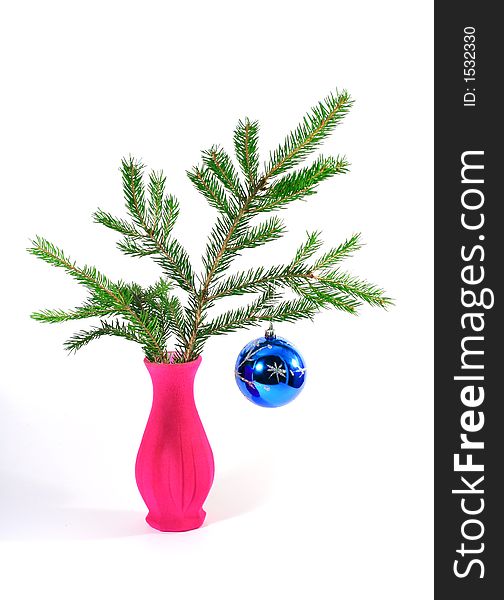 Christmas tree branch in pink vase