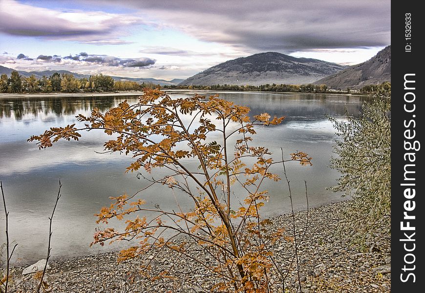 Plant over looking the river in the fall photo-art. Plant over looking the river in the fall photo-art