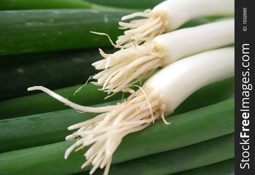 Lots of fresh spring onions on a white background. Lots of fresh spring onions on a white background