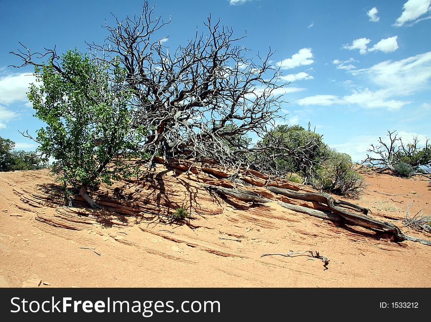 Canyonland National Park