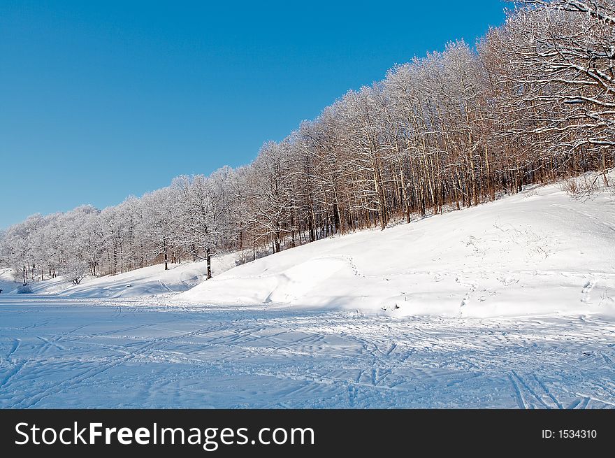 Trees in snow in winter, Russia. Trees in snow in winter, Russia