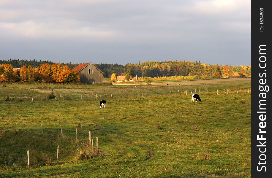 Colorful autumn landscape with farm