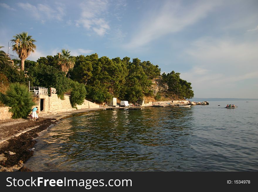 Seashore with palm trees and blue sky