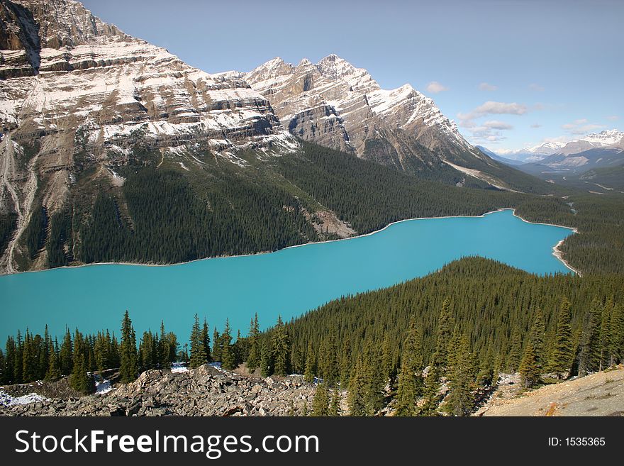 The glacire fed lake of Peyto Lake in the Canadian Rockies