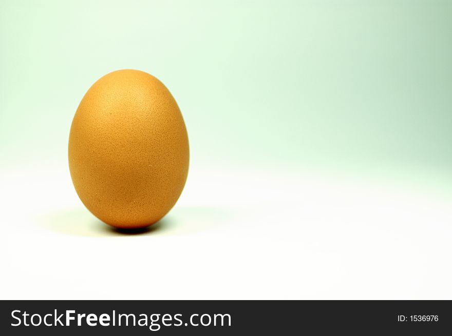 Egg standing.Cardboard Egg Support . Egg standing.Cardboard Egg Support .