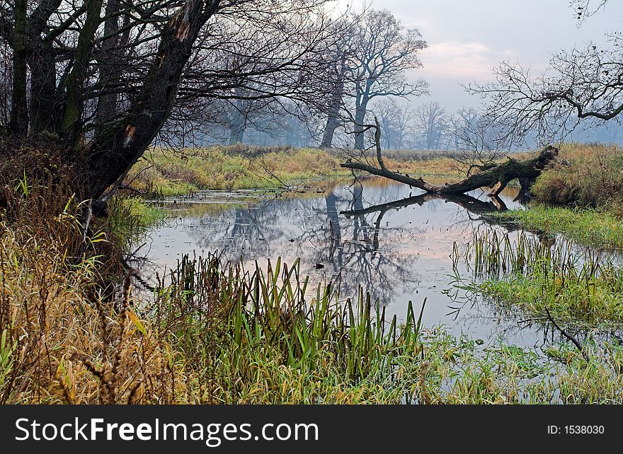 Meadow and pool