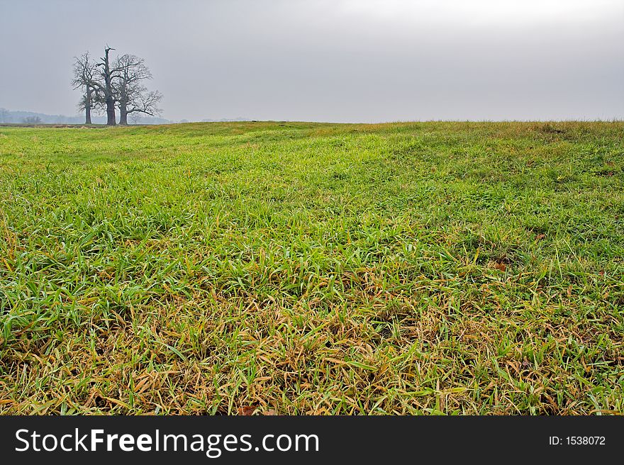 Landscape-meadow between fall and winter