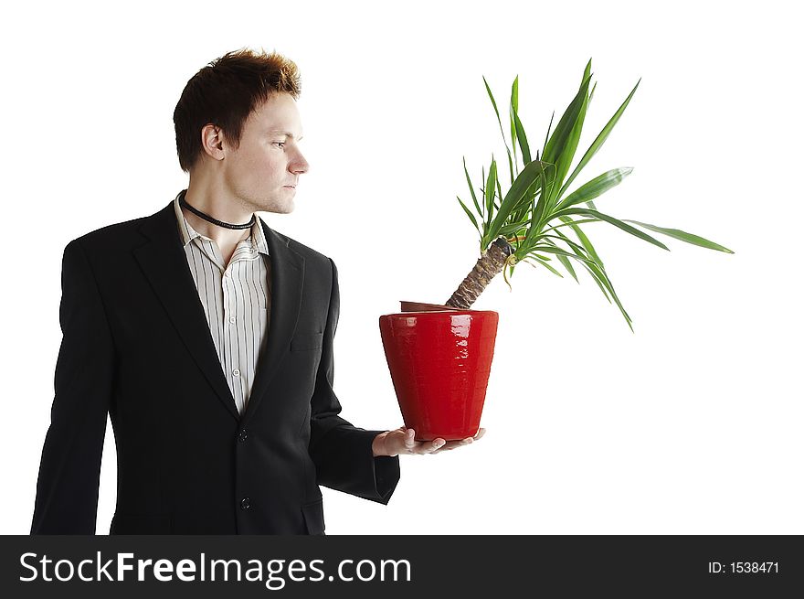 Isolated young businessman with green palm tree. Isolated young businessman with green palm tree