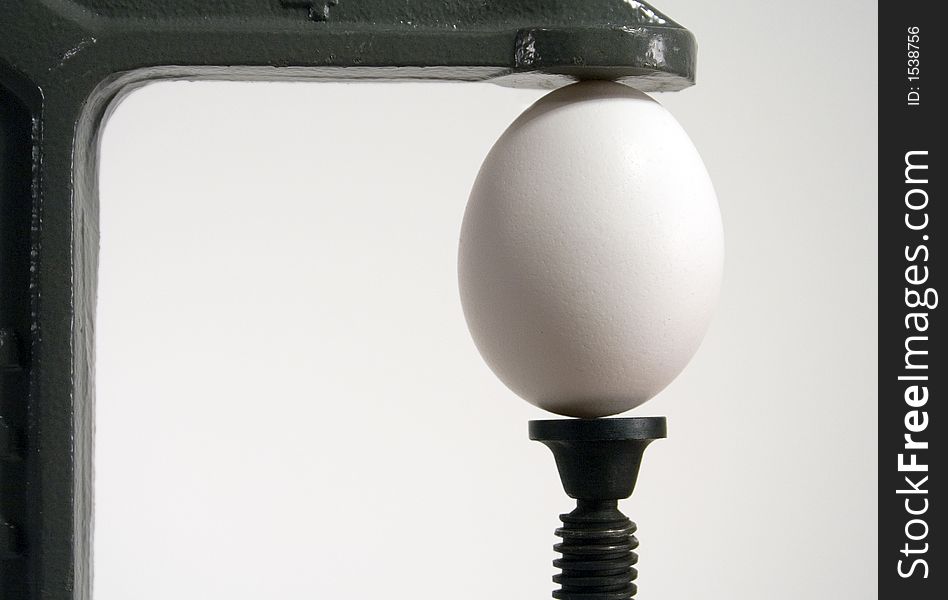 Egg being squeezed in a clamp. Egg being squeezed in a clamp