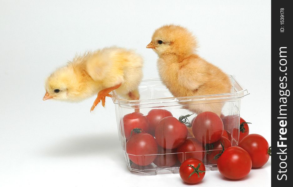 Two chicken and some tomatoes. Two chicken and some tomatoes