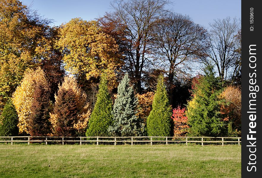 Autumn Landscape in Rural England. Autumn Landscape in Rural England