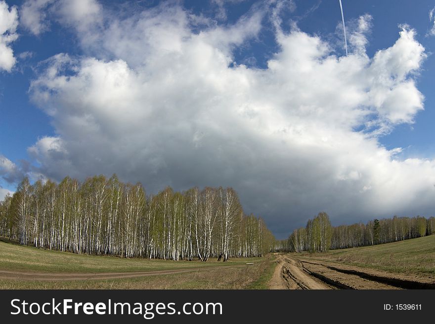 Spring landscape with birch forest, road, field and clouds. Horizontal view. Spring landscape with birch forest, road, field and clouds. Horizontal view.