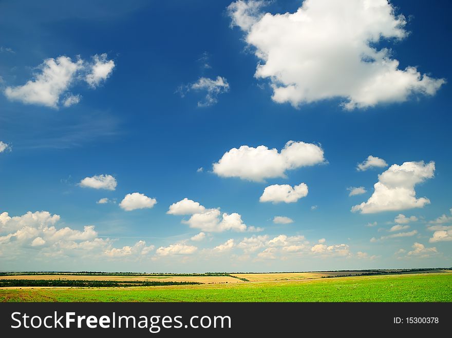 Summer landscape with the beautiful sky and fields