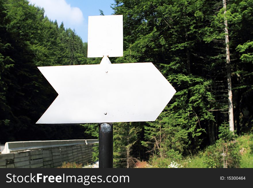 Empty white  sign in  forest. Empty white  sign in  forest