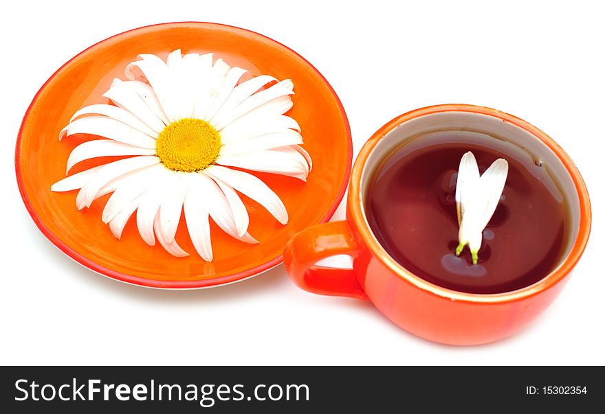 Orange Cup Tea  And Camomiles